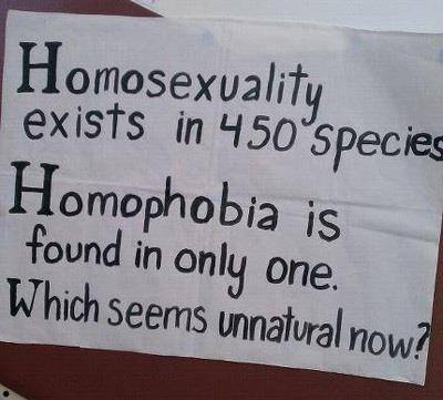 I had to share this pic Homophobia